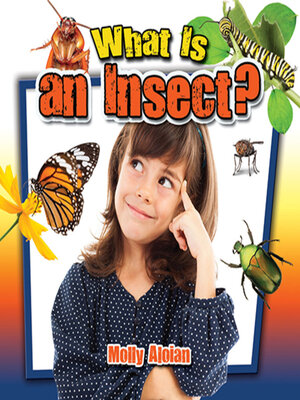 cover image of What Is an Insect?